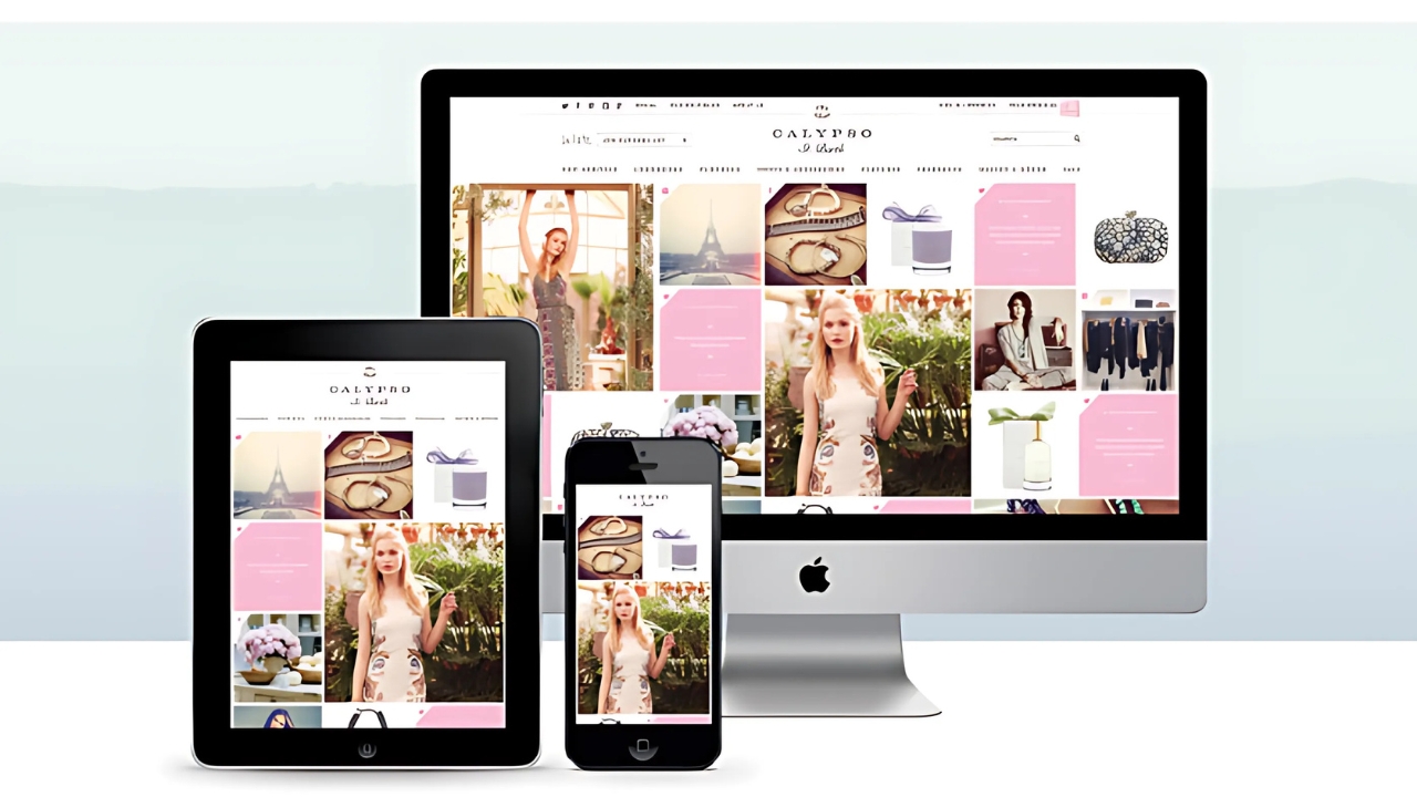 Website Development 2
